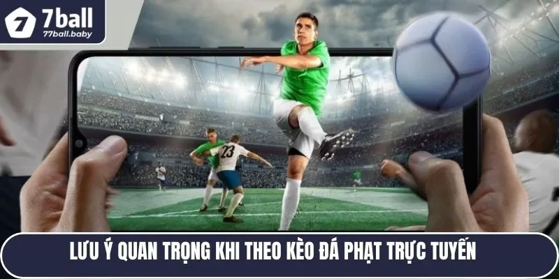 Các lưu ý quan trọng