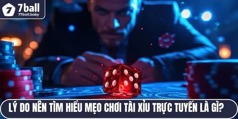 Lý do nên tìm hiểu