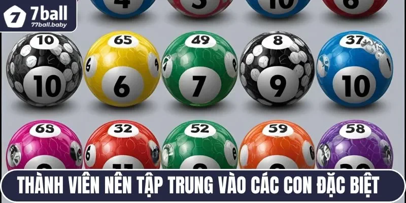 Thành viên nên tập trung vào các con đặc biệt